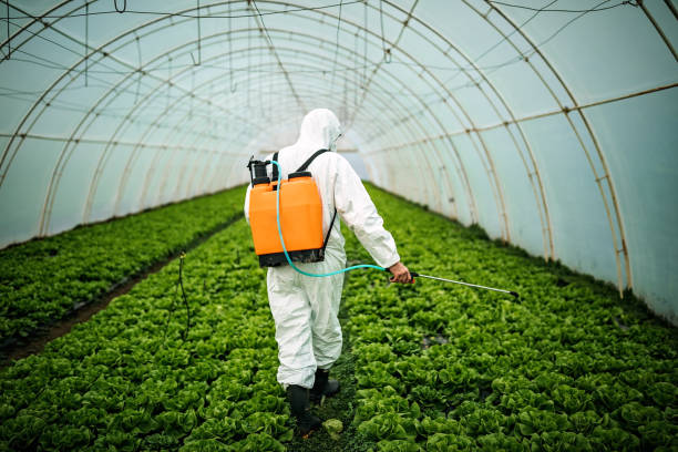 Best Pest Control for Businesses  in North Star, DE